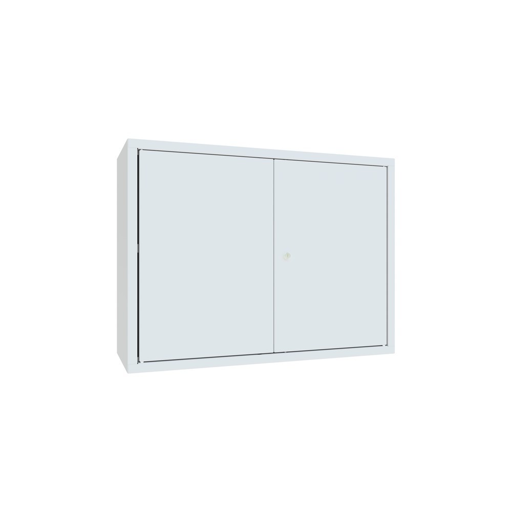 Armoire suspendue PAVOY, H x l x P 600 x 800 x 300 mm, paroi arrière perforée, gris clair, gris clair