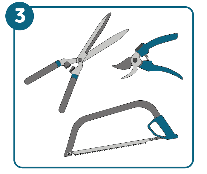 Illustration of hedge shears, pruning shears and a bow saw.